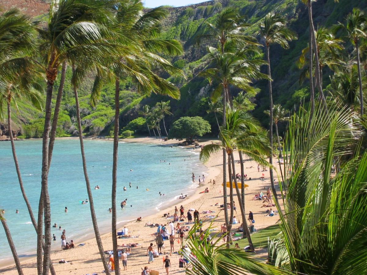 Free Parking, Pool, Sauna, Spa, Wifi, Bbq, Ac - Waikiki Banyan Honolulu Ngoại thất bức ảnh