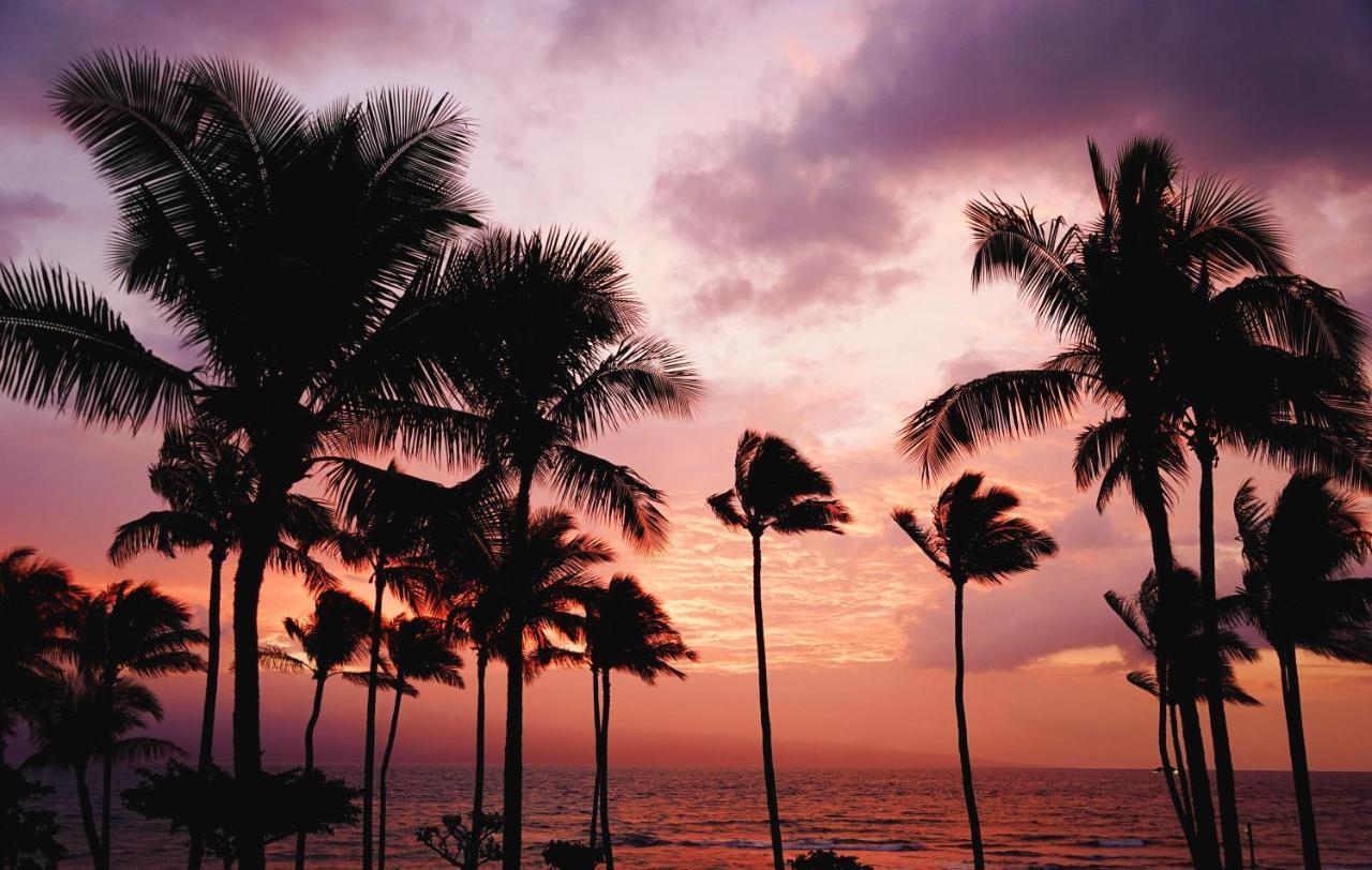 Free Parking, Pool, Sauna, Spa, Wifi, Bbq, Ac - Waikiki Banyan Honolulu Ngoại thất bức ảnh